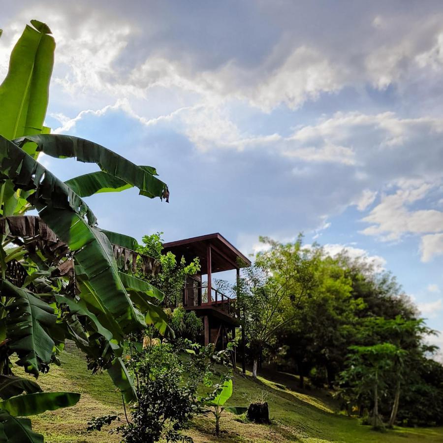 Yumas Riverfront Lodge San Ignacio Exterior foto